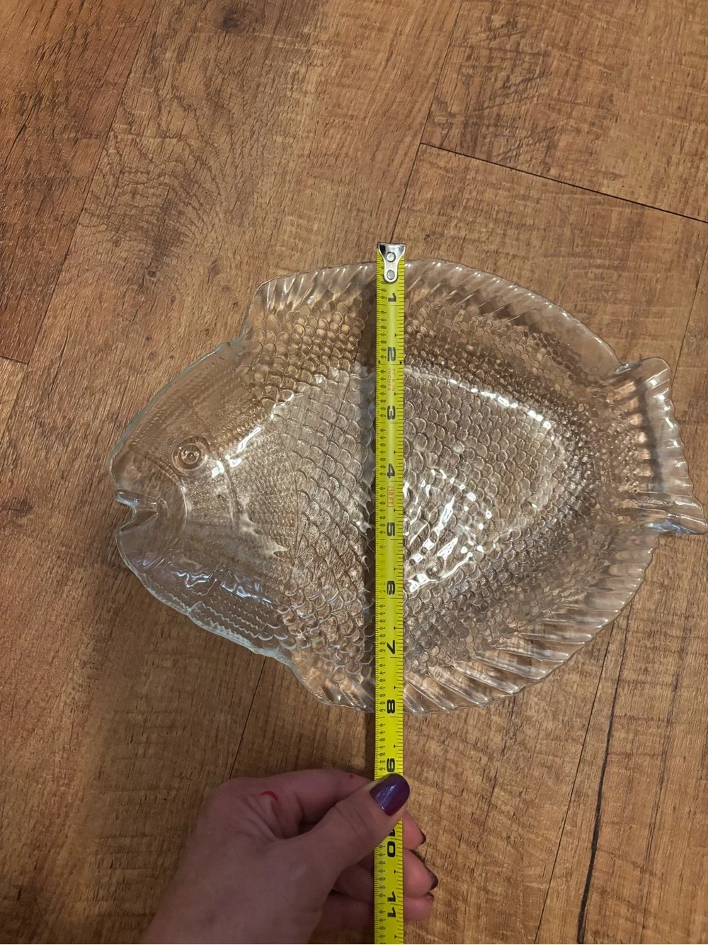 Clear Glass Fish Dinner Plates. Set of 6